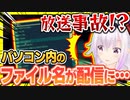 ゲーム中にPC内のファイル名が映ってしまうカルロ・ピノ【#カルロピノ】