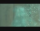 ECDリンク.LINK5