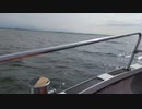 湾岸クルージング