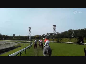 【2023年 オークス ジョッキーカメラ】リバティアイランド騎乗の川田将雅騎手ジョッキーカメラ映像を公開｜JRA公式