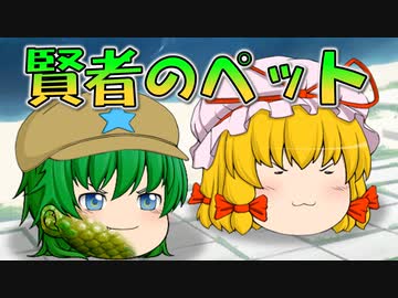 【ゆっくり茶番】賢者がペットを連れてきたようです