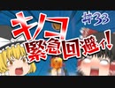 【ゆっくり実況】ゆっくりと眼鏡のマリカー8DX part33【マリオカート８DX】
