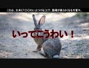 【ずんだもんの愛媛好きだもん・第1弾】・・・「いってこうわい」「いんでこうわい」って何でもワイワイ言います。