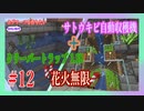 【Minecraft】サバイバルでもホグワーツが作りたいマインクラフト Part12【ゆっくり実況】