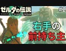 【ゼルダの伝説 Totk】このハイラルで一番自由な奴が勇者だ！！【実況】#2