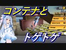 【RACE IN DESERT】#4 砂漠でカースタントに挑む琴葉葵
