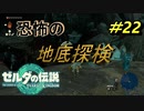 地底は資源の宝庫【TEARS OF THE KINGDOM】＃22