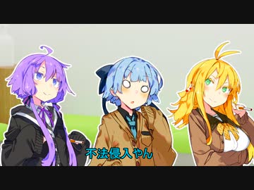 尿結石葵ちゃんの日常42