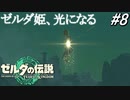 ゼルダ姫、光になる。【ゼルダの伝説 ティアーズ オブ キングダム】実況プレイ part8