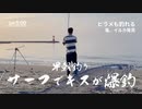 朝5時からサーフでキス釣り 大漁に釣れた！ヒラメも釣れるし、イルカ、亀発見で超楽しかった！