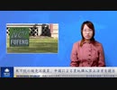 米下院の超党派議員、中国による農地購入禁止法案を提出