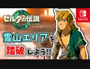 【ゼルダの伝説ティアーズオブザキングダム実況】ハイラルに再び異変が？新たな旅にでます！part14