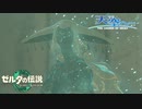 【ゼルダの伝説TotK】天空へ… #7