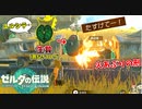 コログデスマッチの快楽を知ってしまった男の、ゼルダの伝説 ティアーズ オブ ザ キングダム #1