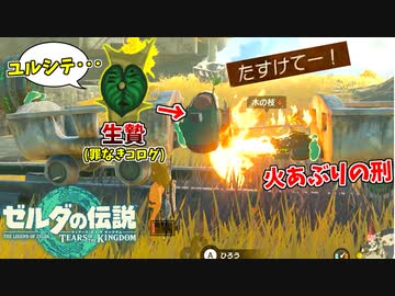 コログデスマッチの快楽を知ってしまった男の、ゼルダの伝説 ティアーズ オブ ザ キングダム #1