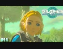 [ゼルダの伝説TotK　#11 ]　消えたゼルダの行方