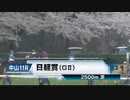 2023年03月25日スマブラSP【放送アーカイブ】