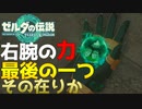 【投影】地底遺跡にアイツがいたんだが…　Part 9【ゼルダの伝説ティアーズオブザキングダム】
