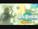 【実況】大空を翔る。ゼルダの伝説ティアーズオブザキングダム 実況プレイ！Part5【ゼルダの伝説TotK】
