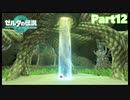 【12】ぼっち勇者の天空探検【ゼルダの伝説ティアーズオブザキングダム】