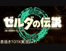 息抜きティアキンpart1