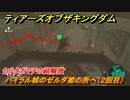 ゼルダの伝説ティアーズオブザキングダム　ハイラル城の異変　ハイラル城のゼルダ姫の所へ（２回目）　メインチャレンジ攻略　＃１９６　【ティアキン】