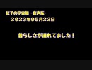 紅子の宇宙船 －音声版－ 2023年05月22日