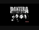 Cowboys From Hell 弾いてみた ~Pantera~