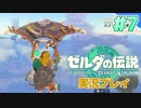 【実況】大空を翔る。ゼルダの伝説ティアーズオブザキングダム 実況プレイ！Part7【ゼルダの伝説TotK】
