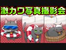 【ニャー】#38　猫の飼い主が全員やる行動【ノラと皇女と野良猫ハート】