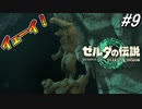 地底に元気そうな石像がありました。【ゼルダの伝説 ティアーズ オブ キングダム】実況プレイ part9