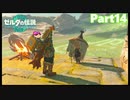 【14】ぼっち勇者の天空探検【ゼルダの伝説ティアーズオブザキングダム】