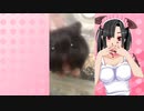 メイメイのハムスターの日常。56