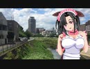 メイメイちゃんのお散歩_多摩市桜ヶ丘⑨