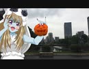 お散歩_皇居外苑④