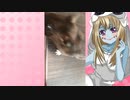 ゾンビーナのハムスターの日常。84