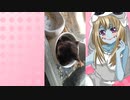 ゾンビーナのハムスターの日常。86