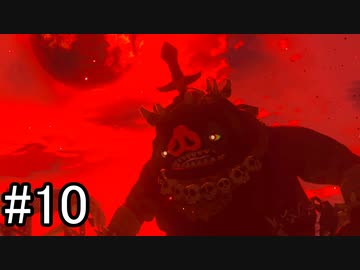 【実況】空の島から始まる新たな冒険【ゼルダの伝説 ティアーズ オブ ザ キングダム】part10