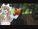 お散歩_皇居外苑⑥
