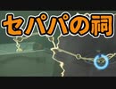 セパパの祠！そしてイエロックとの激闘！ Part7【ゼルダの伝説 ティアーズオブザキングダム/TotK】