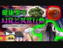 【2012年】健康茶で幻覚・錯乱状態になった夫婦 沖縄土産のお茶には何が入っていた？ 『スコポラミン幻覚食中毒』【ゆっくり解説】