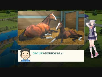 こはるりスタリオン　第3レース