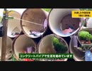 土管で生活