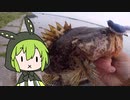 【ソフトウェアトークフィッシング】ずんだもんの釣り６