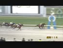 2023年5月23日盛岡競馬11R ＪＣＳファーストステージ第１戦(C1) チベリウス