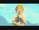 #100,ゼルダの伝説ティアーズオブザキングダム
