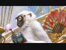 【MTGアリーナ】自分をニコル・ボーラスだと思い込んでいる一般VPWその15