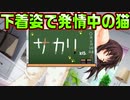 【ニャー】#39　人間に戻れると思ったのに【ノラと皇女と野良猫ハート】