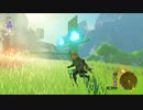 ホモと見るゼルダ新CM
