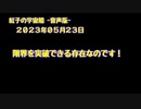 紅子の宇宙船 －音声版－ 2023年05月23日
